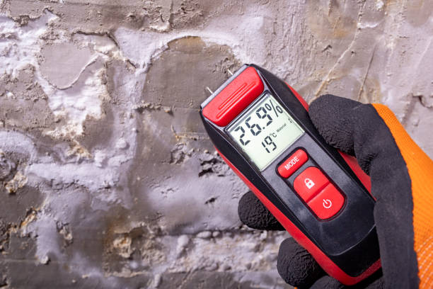 Best Crawl Space Mold Removal  in Marshall, MI